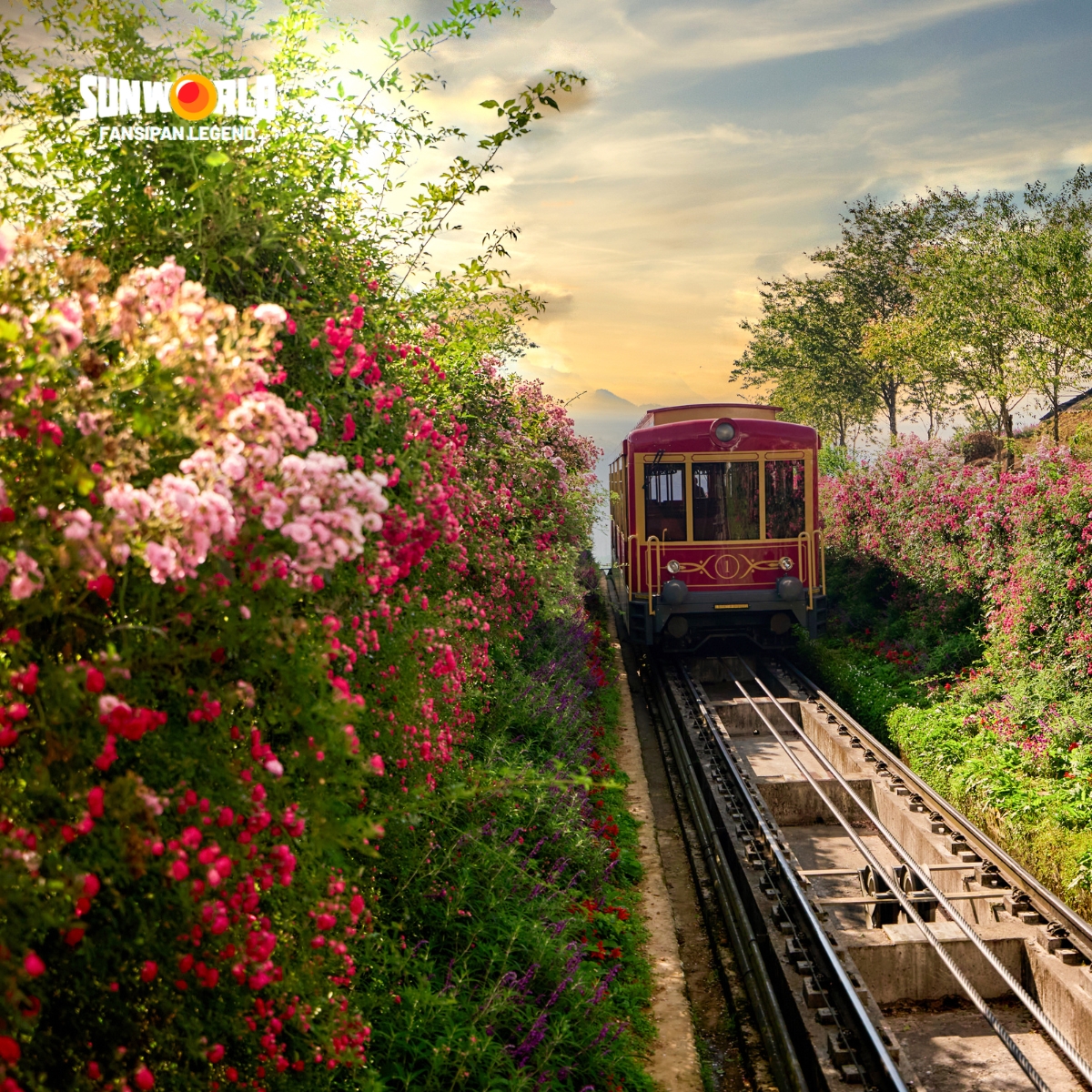 TOUR DU LỊCH CẦU KÍNH RỒNG MÂY  CÁP TREO SAPA 3 NGÀY 2 ĐÊM