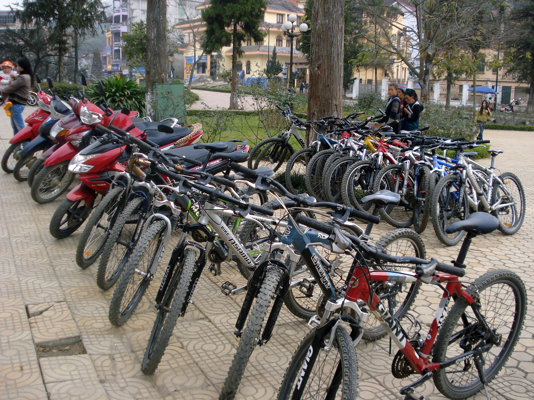 Hình ảnh trong tour đạp xe ở Sapa